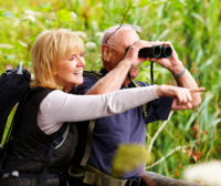 Find a New Hobby You Love After Retirement
